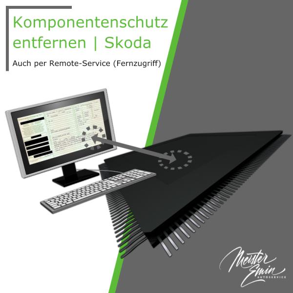 Komponentenschutz entfernen | Skoda